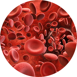 cardiominal dzialanie (3)