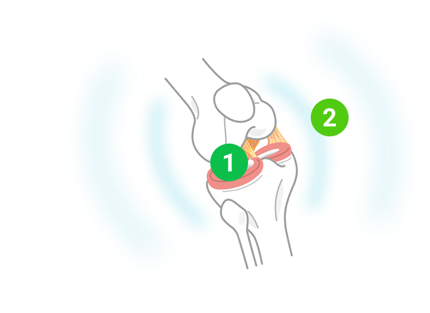 ortezan działanie ortezan działanie