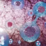 ravestin działanie (1)