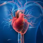 ravestin działanie (2)