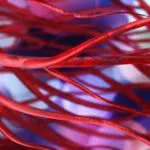 ravestin działanie (3)