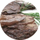 Blackmaca przywraca erekcję