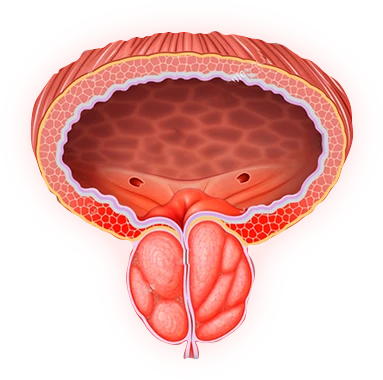 Blacmaca na prostatę