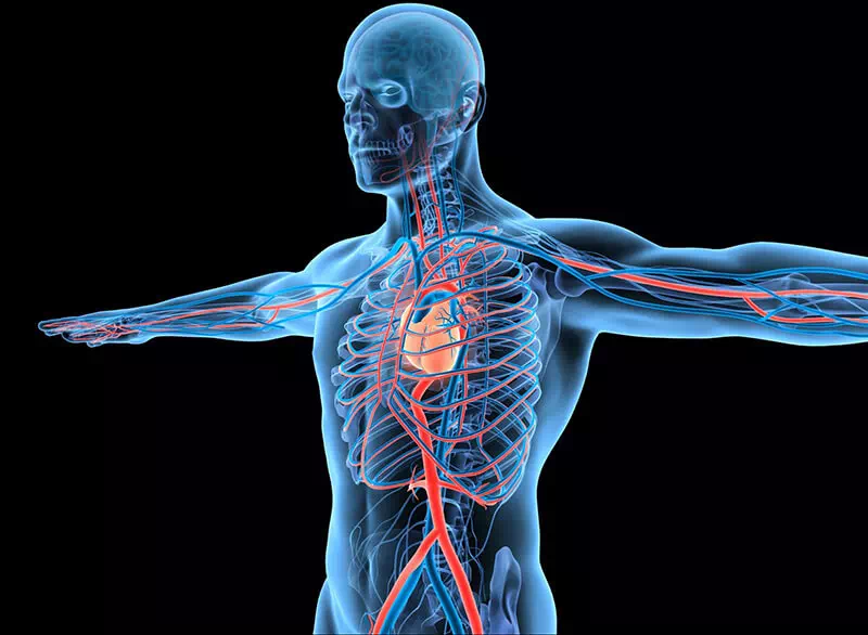 Cardiform wysokie ciśnienie