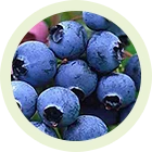 Chocolate slim składniki