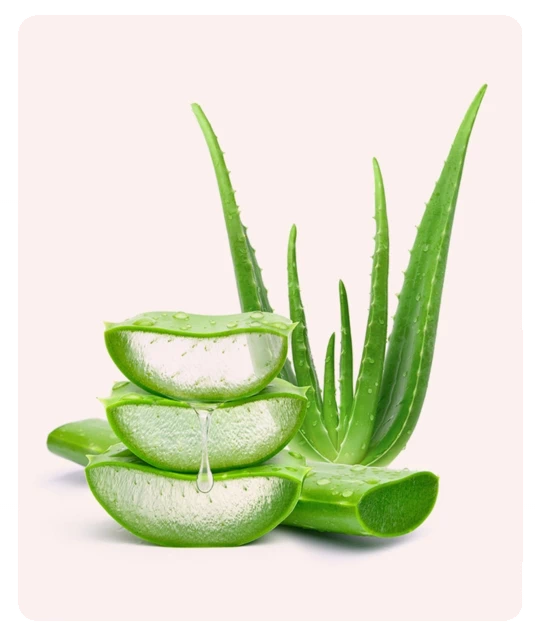 LactiFresh Gel składniki