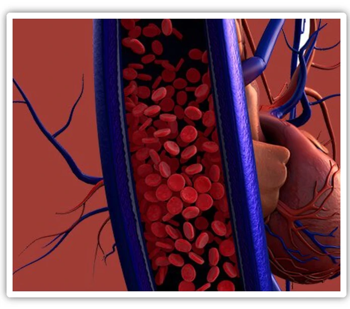 Varikosette jak działa
