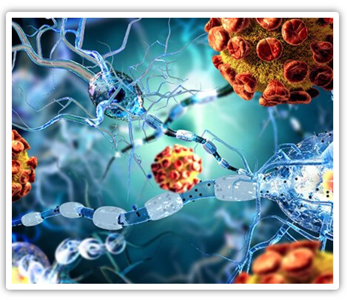 Varikosette skuteczność