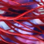 Veinaritin jak działa