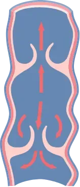 Veinaritin przed kuracją