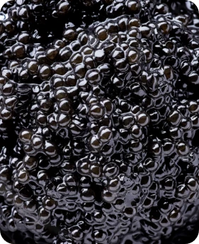 Eternelle Gold Night pielęgnacja