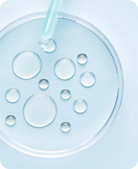 Eternelle Gold Night skuteczność