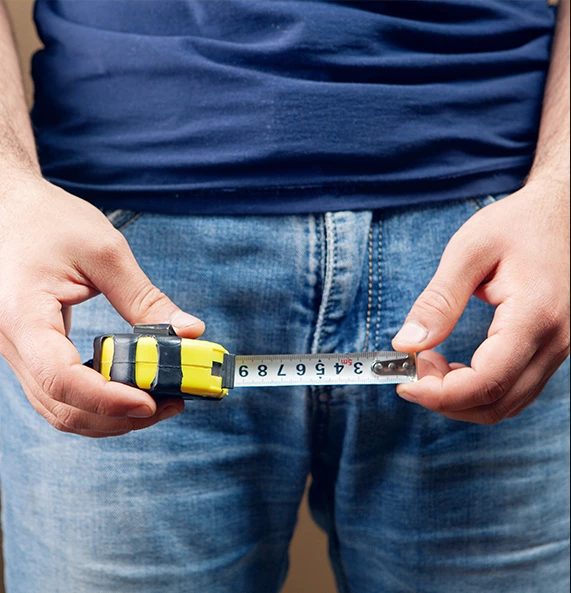 GigantX zastosowanie GigantX zastosowanie