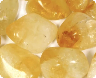 NuviaLab Keto skład