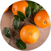 Piperinox metabolizm