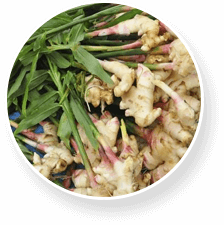 Proflexen elastyczność