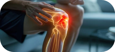 FLexomore zalety FLexomore zalety