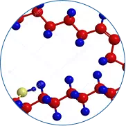 Keto Actives składniki